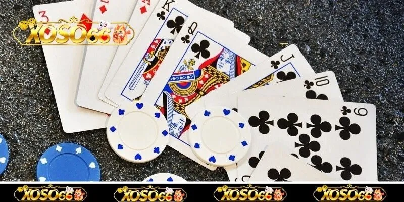 Các thuật ngữ phổ biến